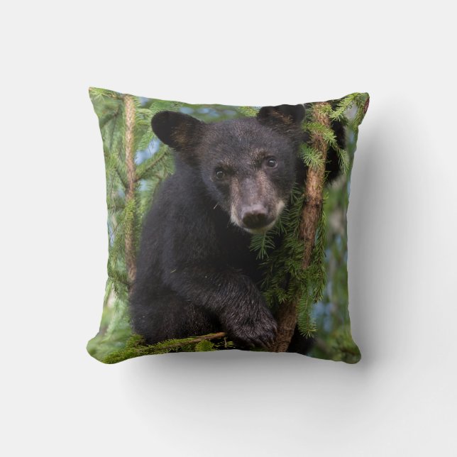 Almofada Filhote de Urso Negro Brincando em Árvores (Frente)