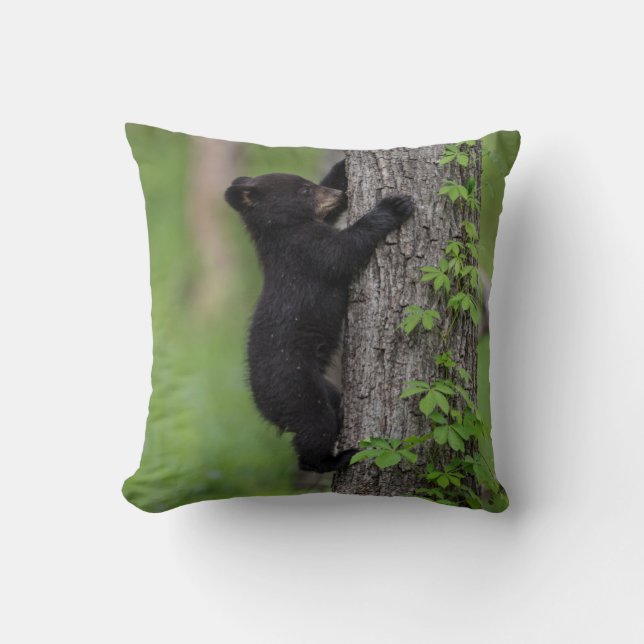 Almofada Filhote de Urso Subindo em uma Árvore (Frente)
