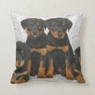 Almofada Filhotes de cachorro de Rottweiler