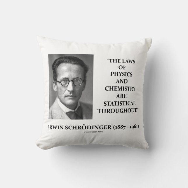 Almofada Física Química Estatística Erwin Schrödinger (Frente)