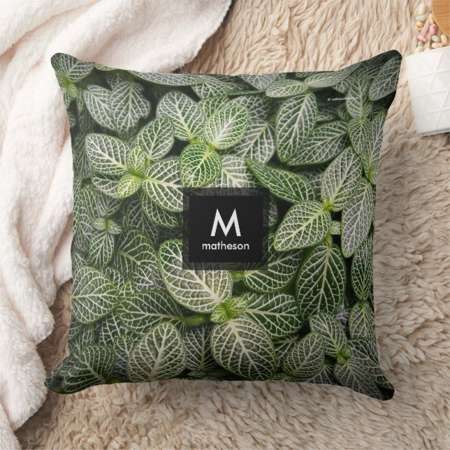 Almofada Fittonia Mosaica com Folhas Variadas (Cobertor)
