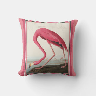 Almofada Flamingo Americano de Audubon