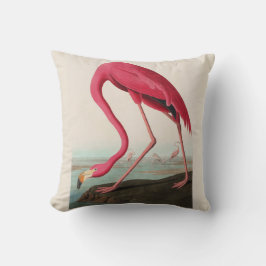 Almofada Flamingo Americano Rosa Audubon, Placa CCCCXXXI