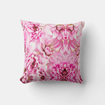 Flor Chrysanthemum Rosa