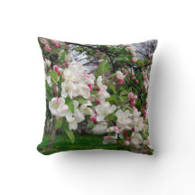 Flor da árvore de maçã do primavera de Europa