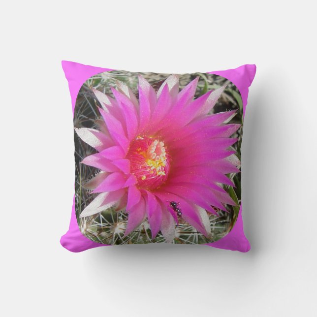 Almofada Flor de Cactus Bola F29w "Escobaria vivipara" (Frente)