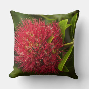 Almofada Flor de Pohutukawa, Dunedin