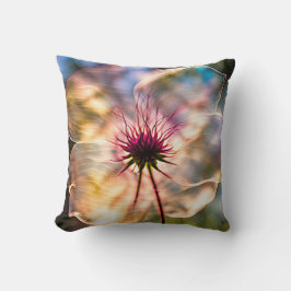 Almofada Flor Translúcido À Luz Do Sol