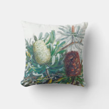 Flores Banksia | Ellis Rowan 1782