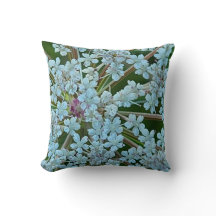 Flores Brancas da Rainha Anne