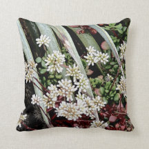 Flores brancas e folhas