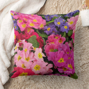 Almofada Flores Coloridas De Primula Azul-Roxo Cor-De-Rosa