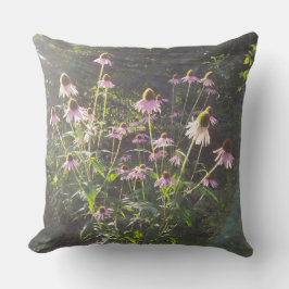 Almofada Flores de Echinacea no Sol