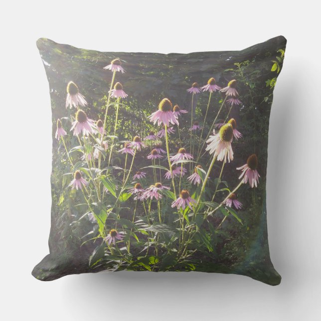 Almofada Flores de Echinacea no Sol (Frente)