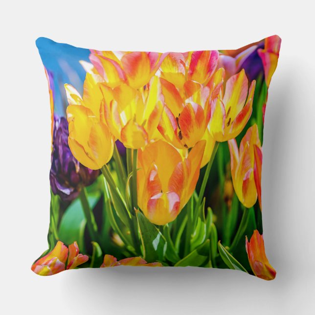 Almofada Flores de Tulipas - Farinhas (Frente)