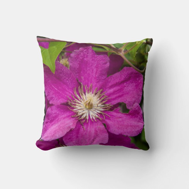 Almofada Flores na Robinette's Apple Haus & Gift Barn (Frente)