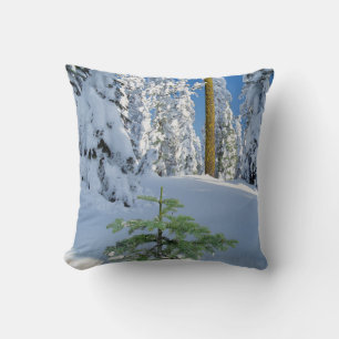Almofada Floresta Coberta de Neve em Oregon