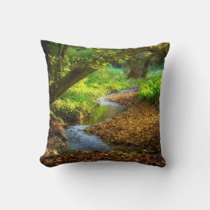 Almofada Floresta Creek Belo Paisagem Natural