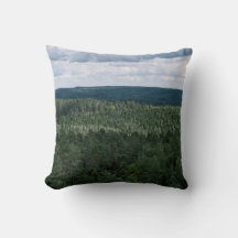 Floresta Verde Com Nuvens Paisagem Da Natureza Fot