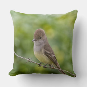 Almofada Flycatcher