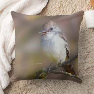 Almofada Flycatcher sorridente e ameaçada de cinzas no ramo