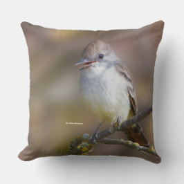 Almofada Flycatcher sorridente e ameaçada de cinzas no ramo