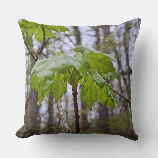 Almofada Folhas da Floresta Após Chuva – Natureza Selvagem  (Frente)