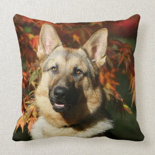 Almofada Folhas de outono do german shepherd