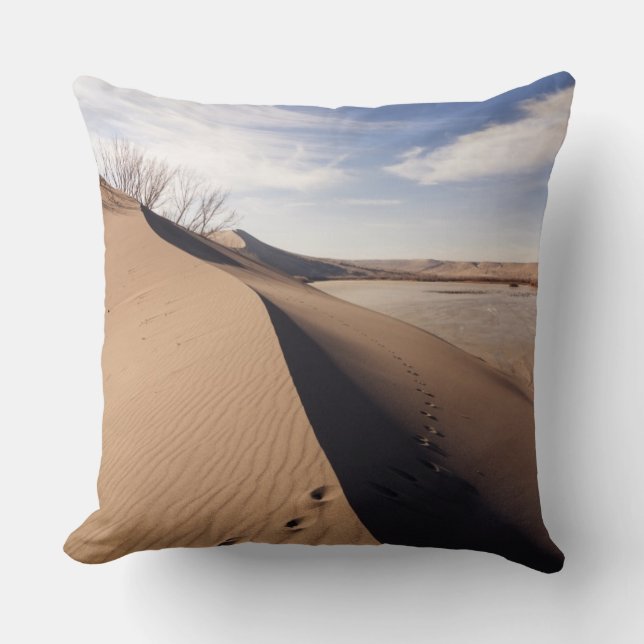 Almofada Formações de dunas de areia. Parque Estadual das D (Frente)