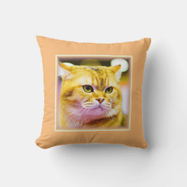 Almofada Foto bonita de um gato bonito. Compre agora
