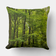 Foto da Floresta Verde de Verão da Natureza