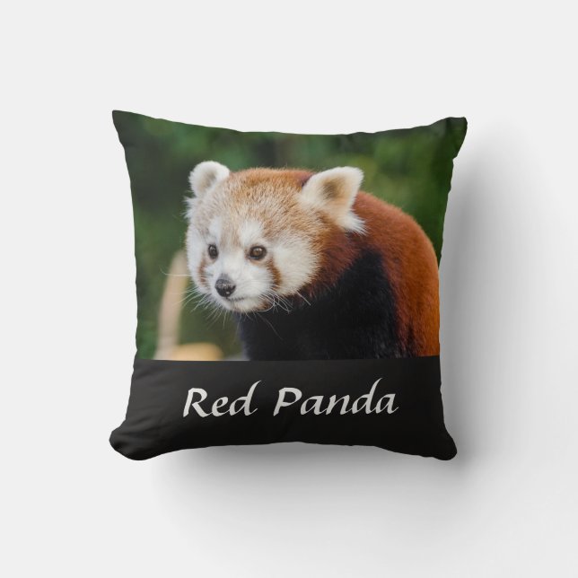 Almofada Foto da Natureza do Panda Vermelho Selvagem (Frente)