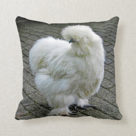 Almofada Foto de frango branco Silkie