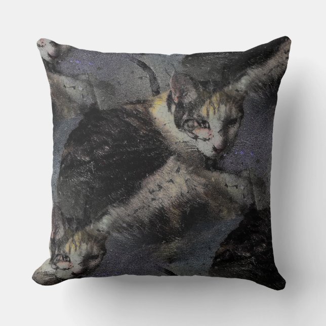Almofada Foto de gato com efeito (Frente)