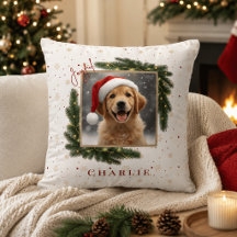 Foto de Natal de Animal de Estimação Moderna – Pre