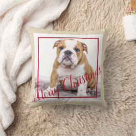 Almofada Foto de Natal Personalizada para Bulldog em Inglês