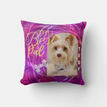 Foto do Cão-de-Pet Mangenta