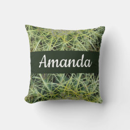 Almofada Foto do deserto verde-sudoeste Barrel Cactus