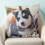 Almofada Foto do Lover de Pet Dog Personalizado Moderno<br><div class="desc">Apresentando nosso travesseiro personalizado, a maneira perfeita de manter seus entes queridos próximos e confortáveis. Este travesseiro flexível e na moda apresenta um design moderno e minimalista, fazer-o como um excelente adicional a qualquer decoração doméstica. Você pode personalizá-lo com qualquer foto de sua escolha, seja uma foto estimada de sua...</div>