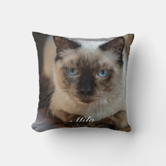 Almofada Foto e Nome de Gato Ragdoll Personalizados