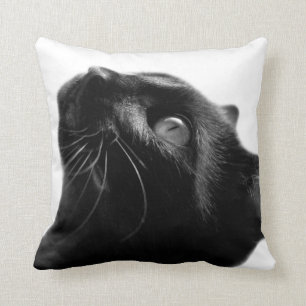 Almofada Foto fofofa de animal de estimação de gato preto