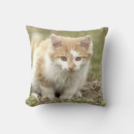 Almofada Foto: gato, animais. travesseiro decorativo