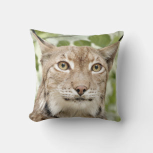 Almofada Foto lince, gato, animais. travesseiro decorativo