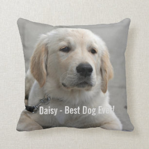 Almofada Foto personalizada e nome do cão do golden