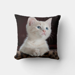 Almofada Foto Pet Personalizada Cat Pet Dupla Face