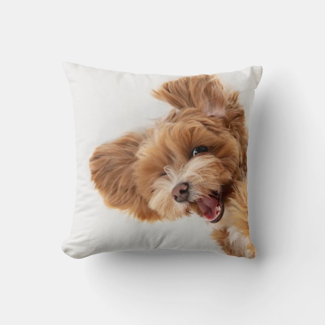 Almofada Foto, Pw e Nome Personalizados de Pet (Frente)