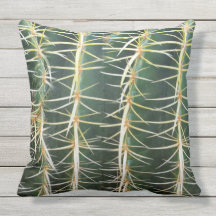 Foto verde tropical do cacto da esfera