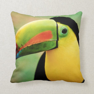 Almofada Fotografia Colorida da Natureza do Pássaro Toucan
