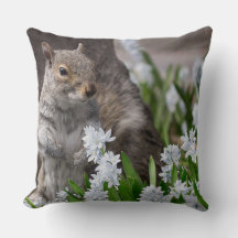 Fotografia da Natureza de Esquilo Fofo em Flores d