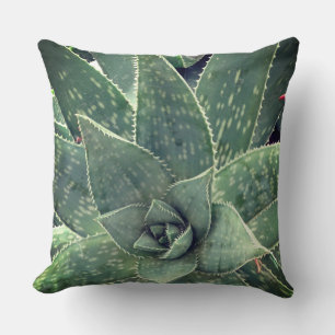Almofada Fotografia da planta Succulent Aloe